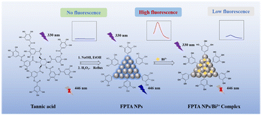 Graphical abstract: Fluorescent poly(tannic acid)-based nanoprobes for selective and sensitive detection of bismuth ions