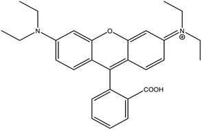 Graphical abstract: Removal and measurement of trace amounts of rhodamine B in aqueous samples based on the synthesis of a nanosorbent composed of Fe3O4 nanoparticles modified with SiO2 and polydopamine by magnetic solid phase extraction