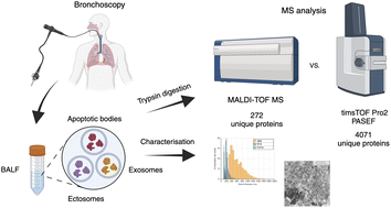 Graphical abstract: Comparison of nanoLC-MALDI-MS/MS with nanoLC-TIMS-MS/MS in the proteomic analysis of extracellular vesicles of bronchoalveolar lavage fluid