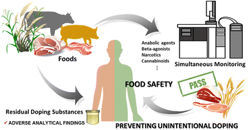 Graphical abstract: Simultaneous analysis of residual prohibited doping substances in foods using gas chromatography-tandem mass spectrometry