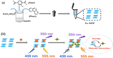 Graphical abstract: A simple and stable dual-emission fluorescent system based on R6G/Eu-MOF for the rapid and sensitive determination of orientin