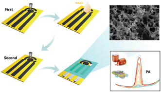 Graphical abstract: Laser-induced graphene/gold nanoparticle hybrid sensor for enhanced electrochemical detection of paracetamol