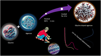 Graphical abstract: Enhancing gel electromembrane extraction using glycine-doped agarose to mitigate electroendosmosis flow: application to tramadol extraction from biological specimens
