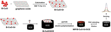 Graphical abstract: Determination of paclobutrazol using square wave voltammetry based on a molecularly imprinted polymer and boron-doped copper oxide/graphene nanocomposite