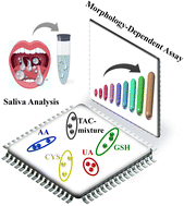 Graphical abstract: Morphology-dependent nanoplasmonic assay: a powerful signaling platform for multiplexed total antioxidant capacity analysis