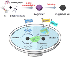 Graphical abstract: An oxidase-like nanozyme-based sensor array for the specific detection and discrimination of catechins