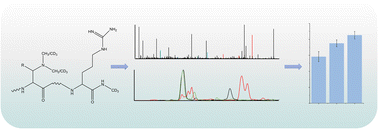 Graphical abstract: Analysis of phosphorylation site occupancy of peptides based on a chemical derivatization method