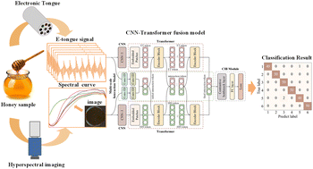 Graphical abstract: Application of an electronic tongue and hyperspectral imaging with a CNN-transformer fusion model for rapid detection of botanical origins of honey