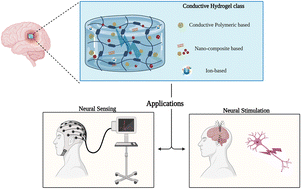 Graphical abstract: Advances in conductive hydrogels for neural recording and stimulation