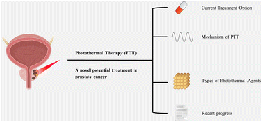 Graphical abstract: Photothermal therapy: a novel potential treatment for prostate cancer