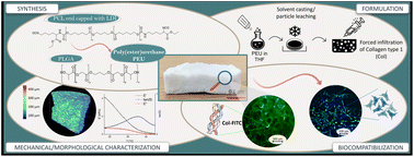 Graphical abstract: Collagen/polyester-polyurethane porous scaffolds for use in meniscal repair