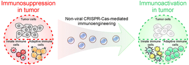 Graphical abstract: Non-viral vector-based genome editing for cancer immunotherapy