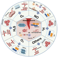 Graphical abstract: Gases and gas-releasing materials for the treatment of chronic diabetic wounds