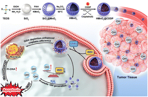 Graphical abstract: Manganese self-boosting hollow nanoenzymes with glutathione depletion for synergistic cancer chemo-chemodynamic therapy