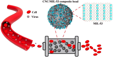 Graphical abstract: Cellulose acetate/metal–organic framework composite beads with macroporous adsorption channels as a novel hemoadsorbent for effective virus capture