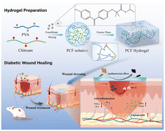 Graphical abstract: A chitosan-based hydrogel loaded with fenofibrate for diabetic wound healing