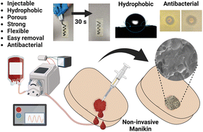 Graphical abstract: Antibacterial sponge for rapid noncompressible hemostatic treatment: spatiotemporal studies using a noninvasive model