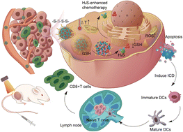 Graphical abstract: Enhancing antitumor immunity with stimulus-responsive mesoporous silicon in combination with chemotherapy and photothermal therapy