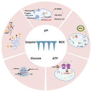 Graphical abstract: A stimulus responsive microneedle-based drug delivery system for cancer therapy