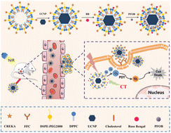 Graphical abstract: Tumor oxygenation nanoliposomes promote deep photodynamic therapy for triple-negative breast cancer