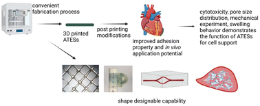 Graphical abstract: A 3D bioprinted adhesive tissue engineering scaffold to repair ischemic heart injury