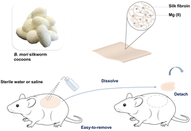 Graphical abstract: Adhesive silk fibroin/magnesium composite films and their application for removable wound dressing