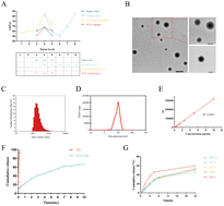Graphical abstract: Preparation and characterization of tildipirosin-loaded solid lipid nanoparticles for the treatment of intracellular Staphylococcus aureus infections