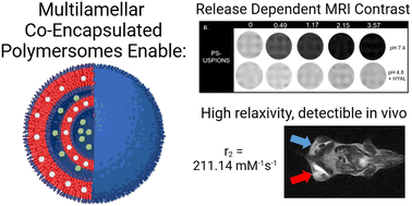 Graphical abstract: Multilamellar hyaluronic acid-b-poly(lactic acid) polymersomes for pathology-responsive MRI enhancement