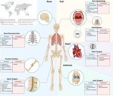 Graphical abstract: Overcoming biological inertness: multifaceted strategies to optimize PEEK bioactivity for interdisciplinary clinical applications