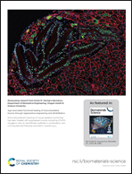 Graphical abstract: Back cover