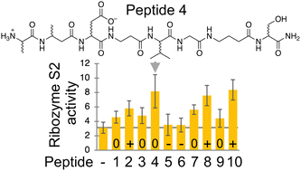 Graphical abstract: Weak effects of prebiotically plausible peptides on self-triphosphorylation ribozyme function