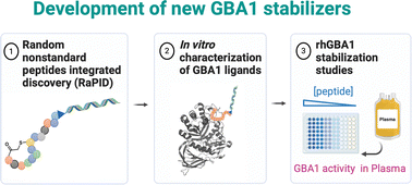 Graphical abstract: Development of selective nanomolar cyclic peptide ligands as GBA1 enzyme stabilisers