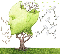 Graphical abstract: Non-enzymatic posttranslational protein modifications in protein aggregation and neurodegenerative diseases