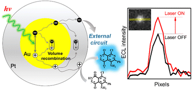 Graphical abstract: Electrogenerated chemiluminescence imaging of plasmon-induced electrochemical reactions at single nanocatalysts