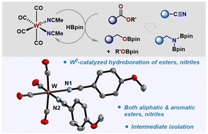 Graphical abstract: Low-valent-tungsten catalysis enables hydroboration of esters and nitriles