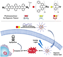 Graphical abstract: A hetero-bimetallic Ru(ii)–Ir(iii) photosensitizer for effective cancer photodynamic therapy under hypoxia