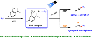 Graphical abstract: Photoinduced selective perfluoroalkylation of terminal alkynes via electron donor–acceptor complexes