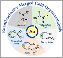 Graphical abstract: Enantioselective merged gold/organocatalysis