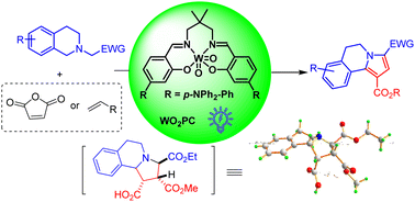 Graphical abstract: Photo-induced tungsten-catalyzed cascade synthesis of pyrrolo[2,1-a]isoquinoline-1,3-dicarboxylate and its reaction mechanism