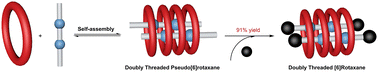 Graphical abstract: A molecular sheaf: doubly threaded [6]rotaxane