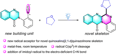 Graphical abstract: Photocatalytic cyclization of 3-(2-isocyanophenyl)quinazolin-4(3H)-ones for the construction of quinoxalino[2,1-b]quinazolinones