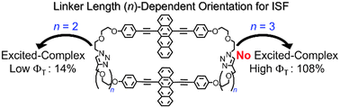 Graphical abstract: Tetracene cyclophanes showing controlled intramolecular singlet fission by through-space orientations