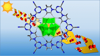 Graphical abstract: Construction of a redox pathway through a polyoxometalate and covalent organic framework for H2O2 photosynthesis