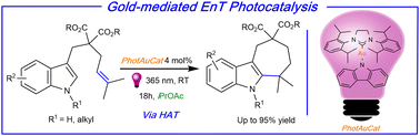 Graphical abstract: Synthesis of cyclohepta[b]indoles via gold mediated energy transfer photocatalysis