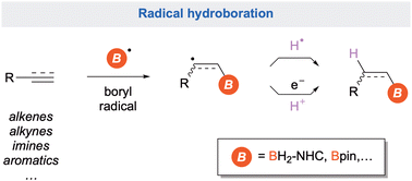 Graphical abstract: Radical hydroboration for the synthesis of organoboron compounds