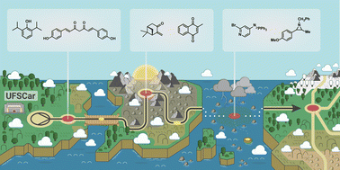 Graphical abstract: Continuous flow reactions in the preparation of active pharmaceutical ingredients and fine chemicals