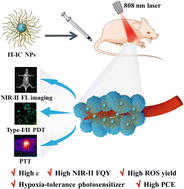Graphical abstract: An NIR-II-emitting type-I photosensitizer for efficient hypoxic tumor phototheranostics