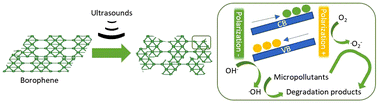 Graphical abstract: Borophene: a piezocatalyst for water remediation