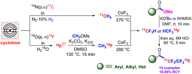 Graphical abstract: Copper(i)-free syntheses of [11C/18F]trifluoromethyl ketones from alkyl or aryl esters and [11C/18F]fluoroform