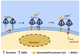 Graphical abstract: A DNA tetrahedron dimer for dual membrane protein logic recognition and interaction inhibition